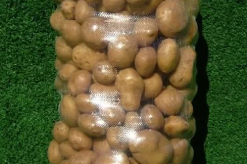 patates dolu cam çuvalı