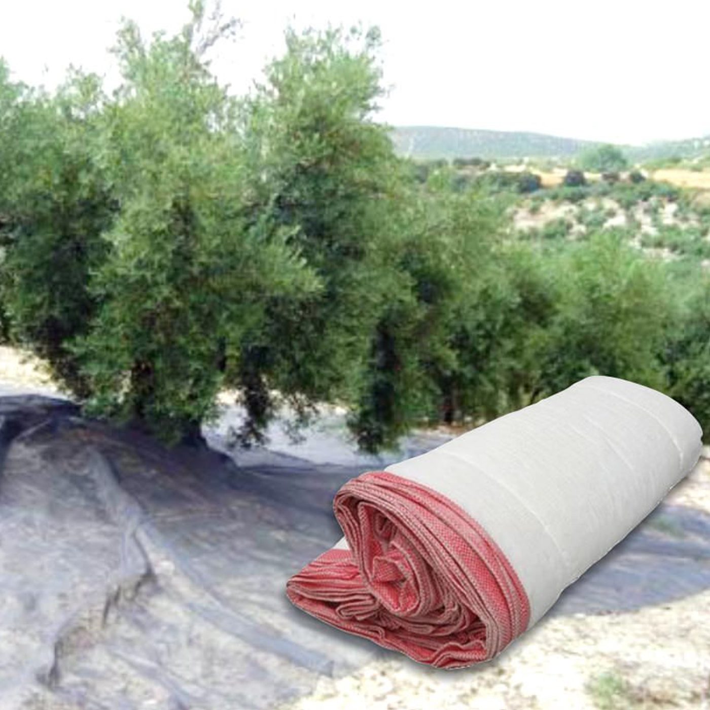 dut toplama örtüsü, zeytin ve dut hasadı için sergi örtüsü